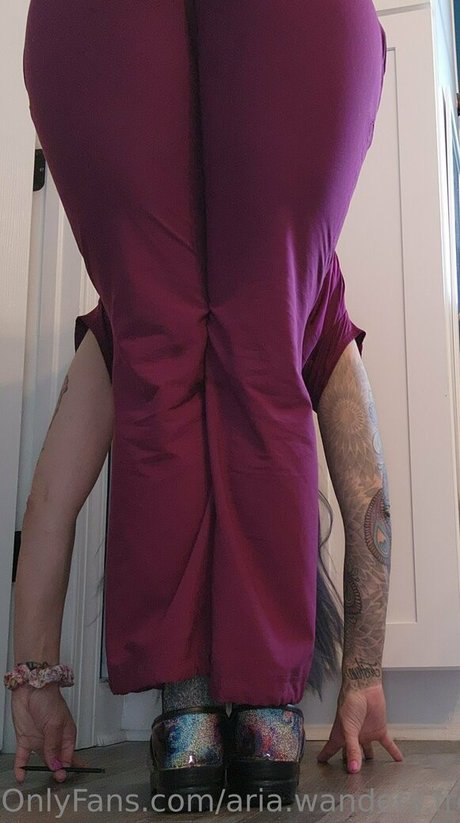 aria wanders free actrice parfaite des photos