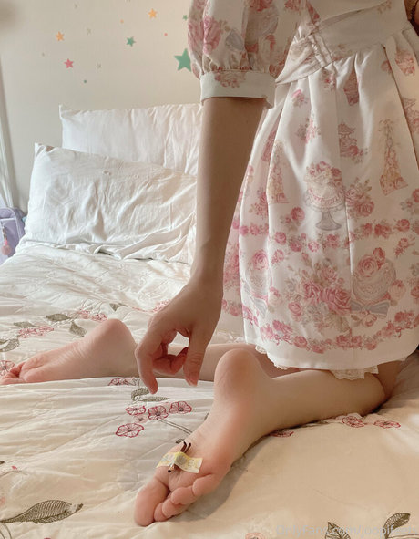 joopifeets art de star du porno collection