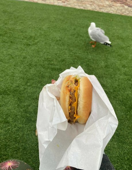 heidivfree actrice sexy galerie