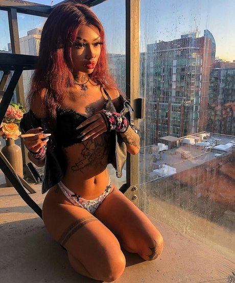 Princessbri jolie actrice img