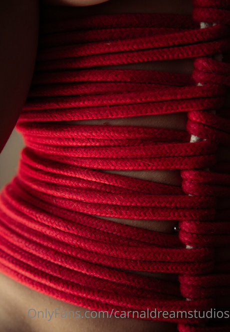 carnaldreamstudios actrice porno galeries