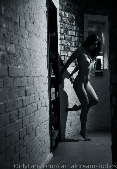 carnaldreamstudios étoile chaude photos