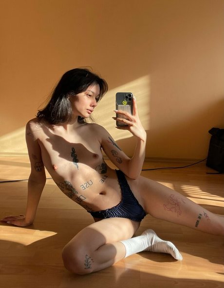 Coconeyx modèle gratuit collection