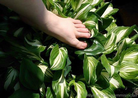 sammisinclair actrice chaude archive