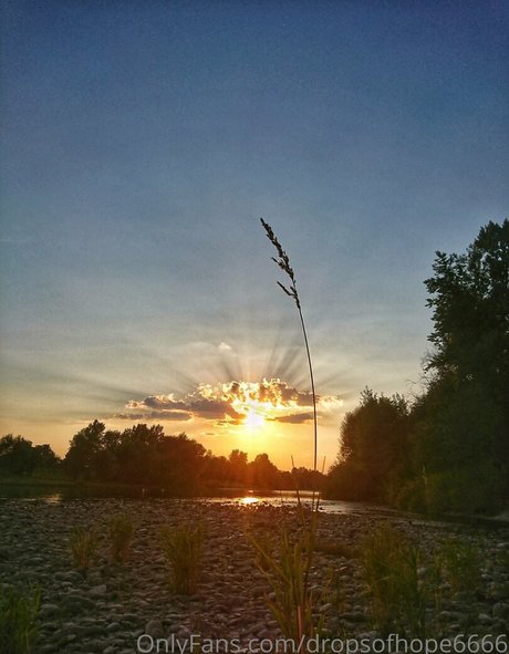 mydarkside6666 belle actrice archive