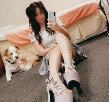 Oasisonoverwatch Fotoaufnahmen