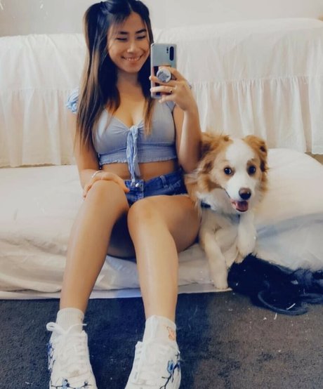 Oasisonoverwatch étoile magnifique galeries