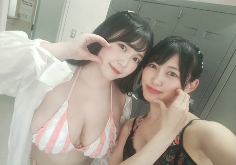 anita gorgues étoile collection