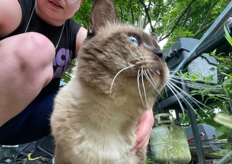 Spellbound actrice de sexe galeries