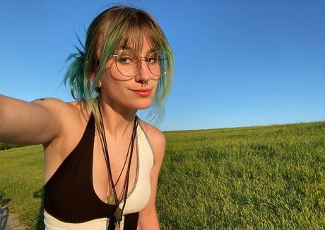 adylasworld haut étoile galeries