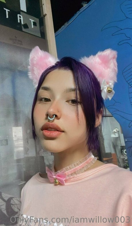 iamwillow003 modèle gratuit img