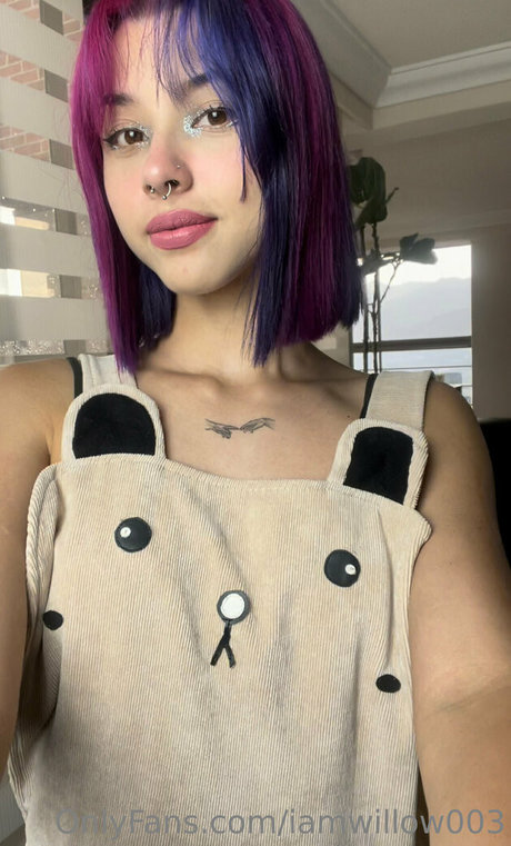 iamwillow003 star érotique photos