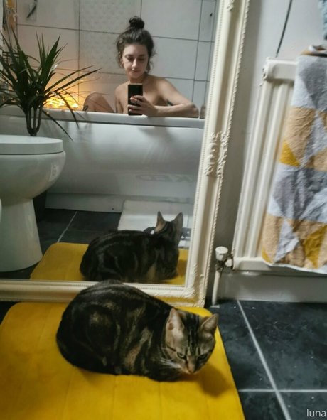 lunahaze étoile de l'art galerie