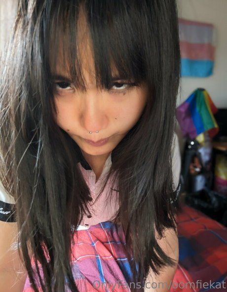 oomfiekat étoile parfaite photo