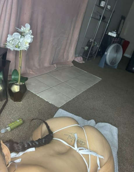 tae lexxx haut modèle img