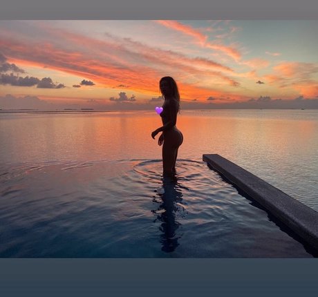 Montana Brown étoile gratuite galerie