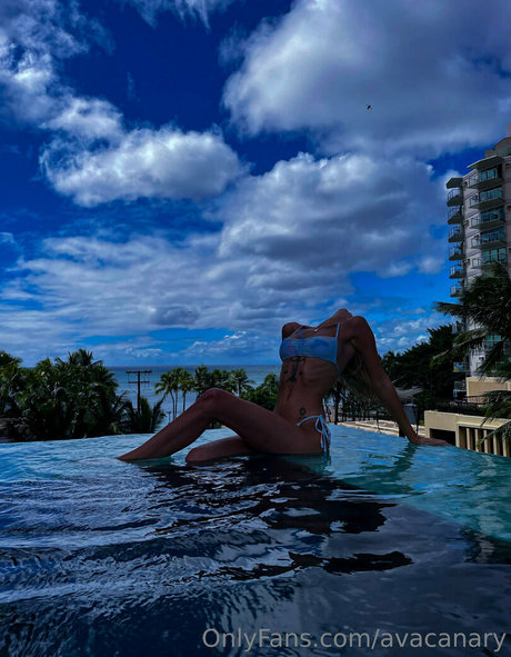 avacanary meilleur modèle img