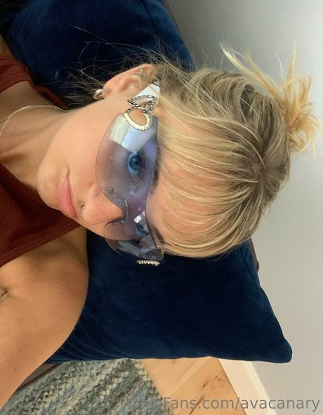 avacanary beau modèle galerie