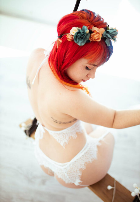 Mimorgue étoile de l'art des photos