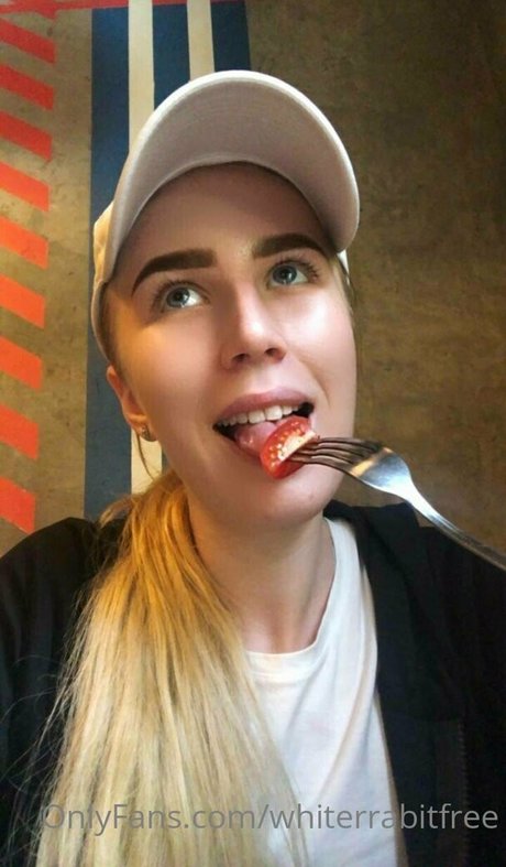 whiterrabitfree nus étoiles archive