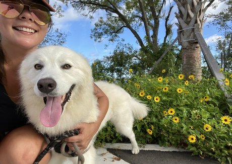 asiatique gratuit onlyfans art sympa images