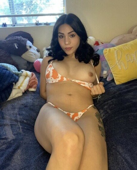 ella rey meilleure étoile galerie