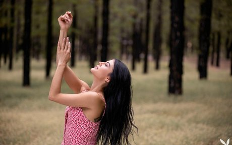 Estefania Pahe étoile parfaite galerie