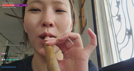 Beddle1218 nus étoiles image