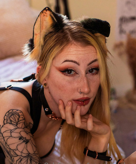 laceandleashes star du porno sexy img