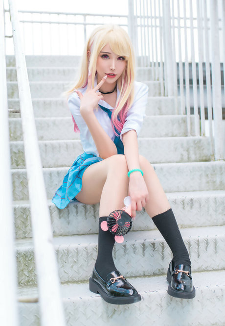 Plant Lily meilleure étoile img