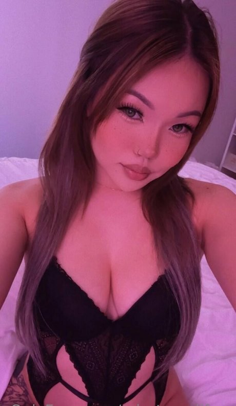 misstomeiifree étoile chaude archive