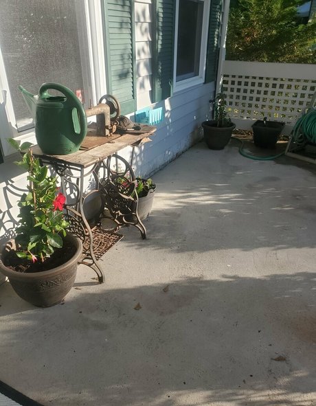 fans de grosses femmes aux gros seins uniquement exclusivité de haute qualité images