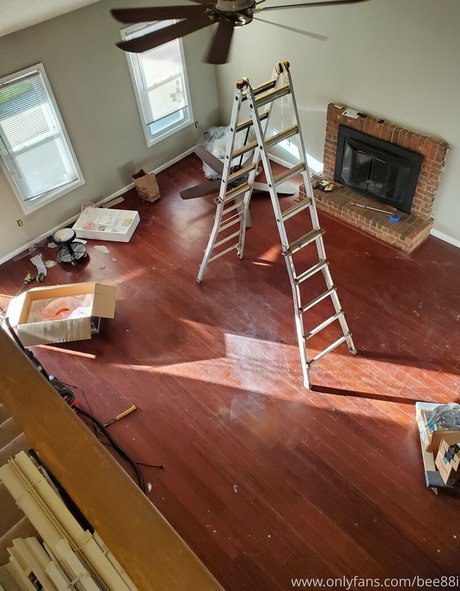 bee88i art de star du porno photos