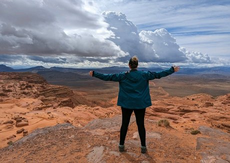 bee88i actrice adulte collection