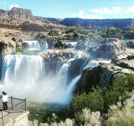 bee88i modèles nus archive