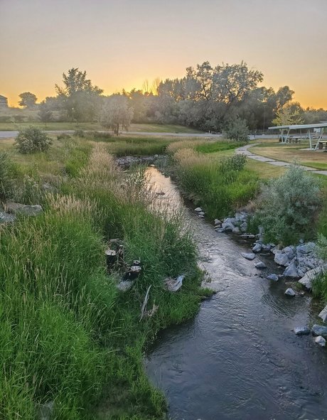 fans de chatte noire uniquement haut por galerie