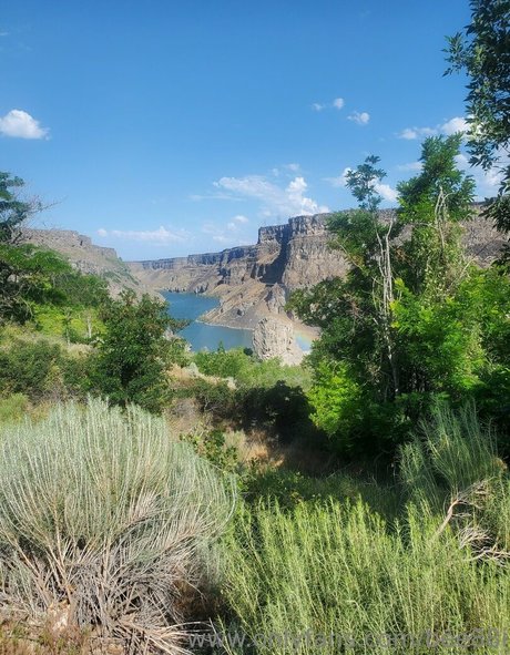 bee88i modèle archive