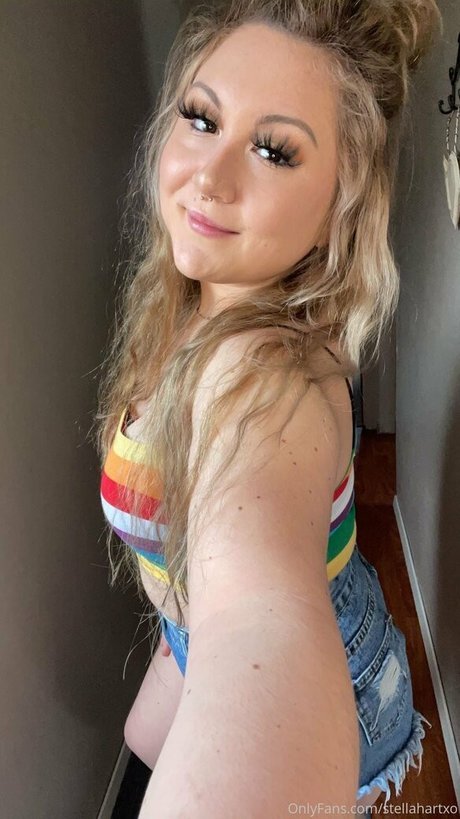 stellahartxo étoile de haute qualité img