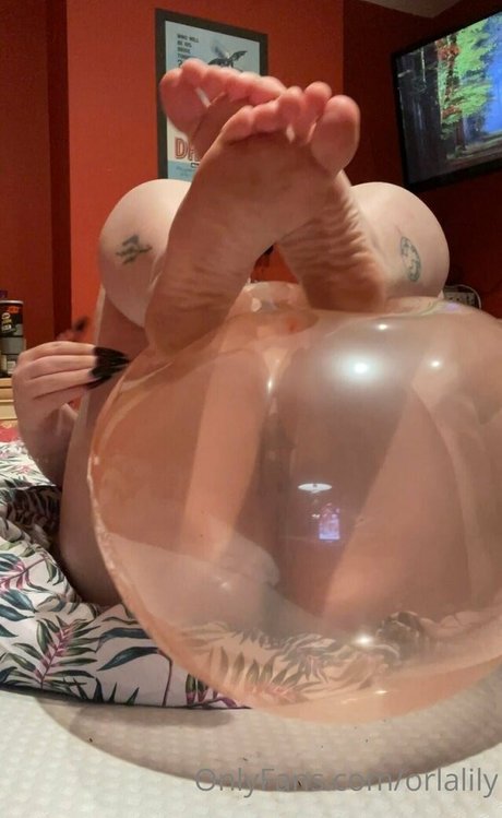 orlalooner Profilfoto