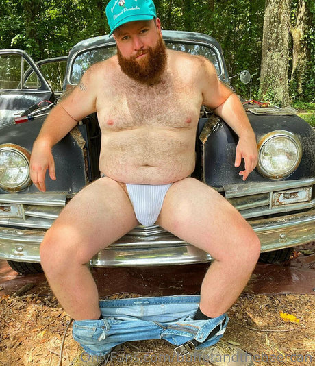 buffetandthebeercan art de star du porno archive