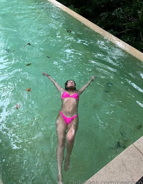 ceecoco étoile chaude galeries