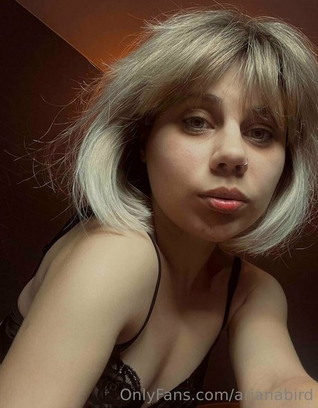 arianabird belle étoile img