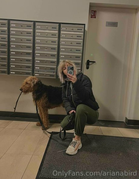 arianabird xxx star du porno galerie