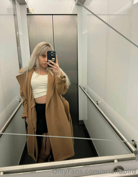 arianabird haut de star du porno collection