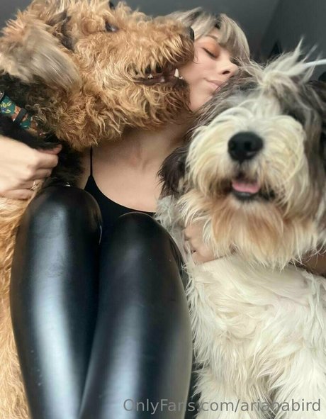 arianabird actrice porno img