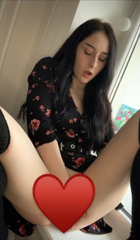 kittybar modèle parfait galerie