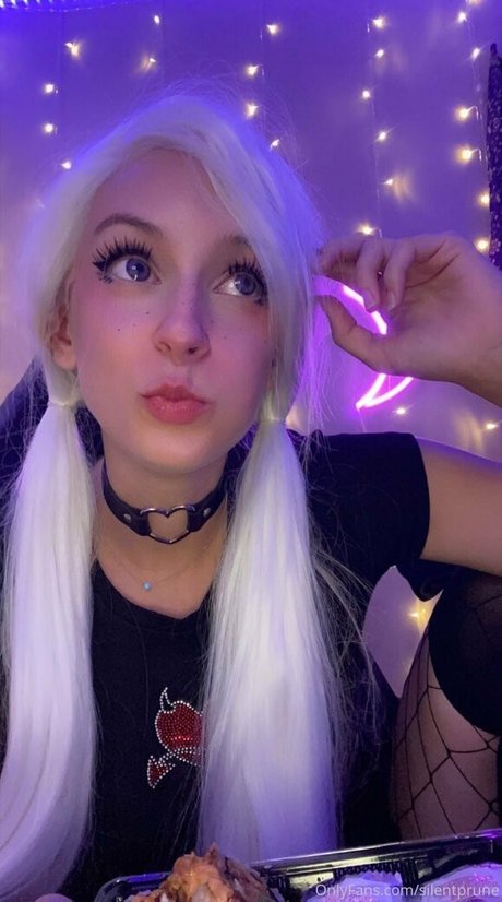 Silentprune haut modèle image