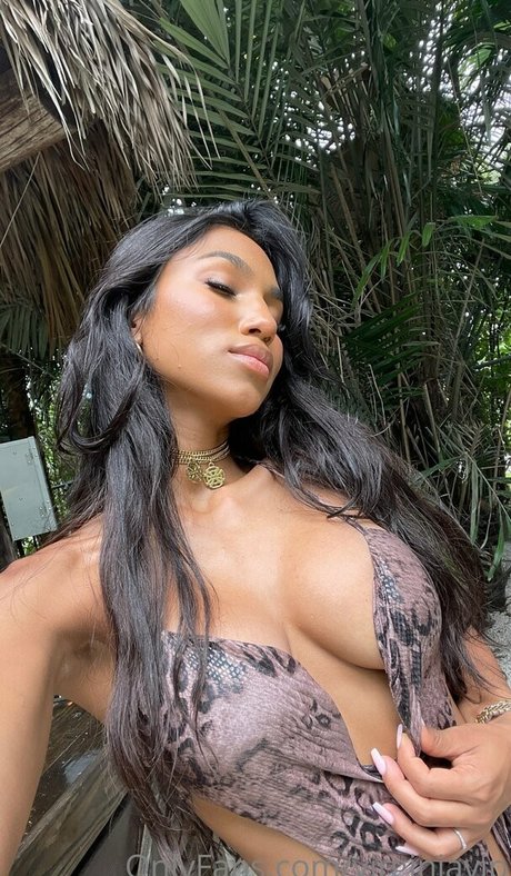 virginasanhousefree modèle gratuit img