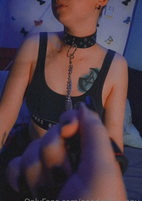 goodest puppy modèle meilleur galerie