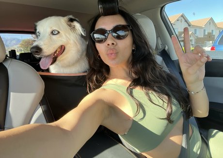 Chellchee modèle exclusif galeries